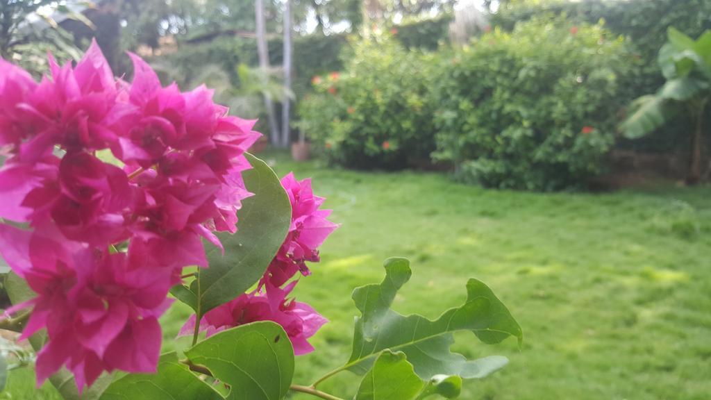 Hostal El Jardin León 외부 사진