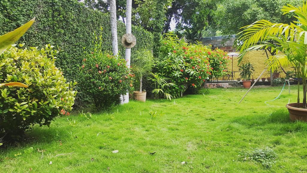 Hostal El Jardin León 외부 사진