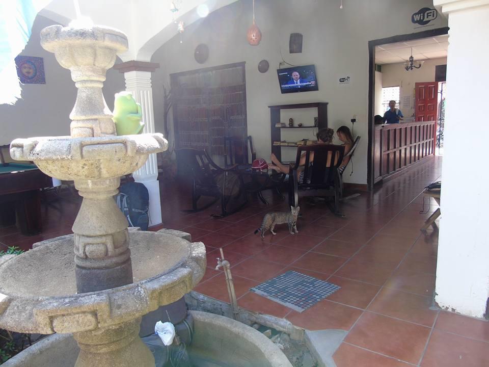 Hostal El Jardin León 외부 사진